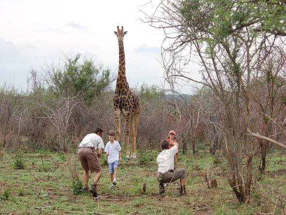 Royal Madikwe - Walking Safari 